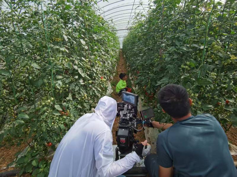 土默特右旗产品宣传视频拍摄公司进阶指南，助力品牌抢占传播高地